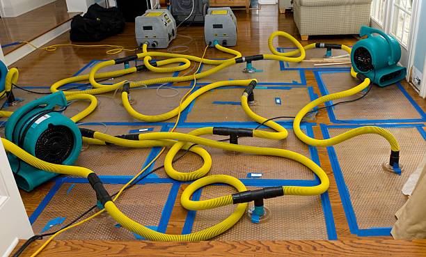 Professional Basement Flood Cleanup technician working in Linwood, PA